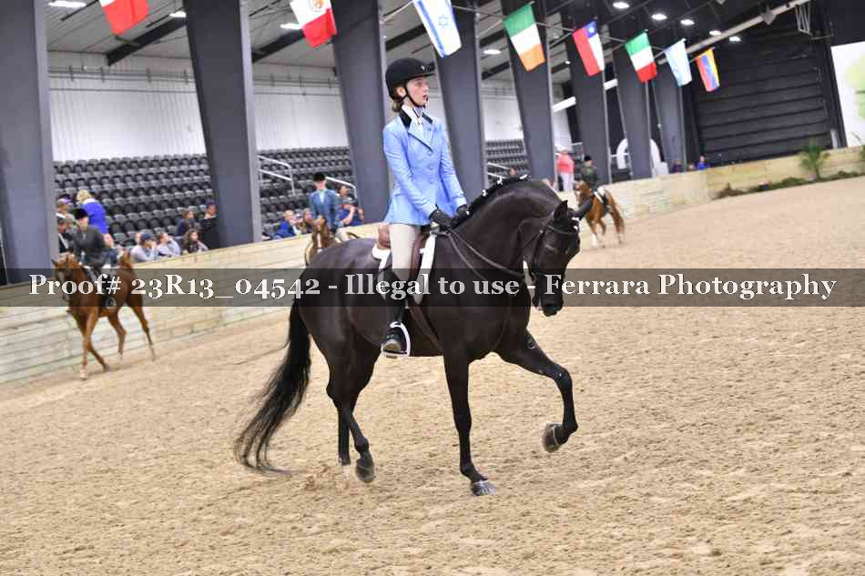 Proof Number 23R13_04542