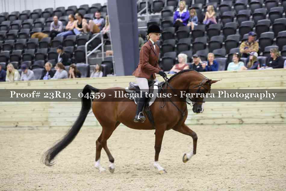Proof Number 23R13_04559
