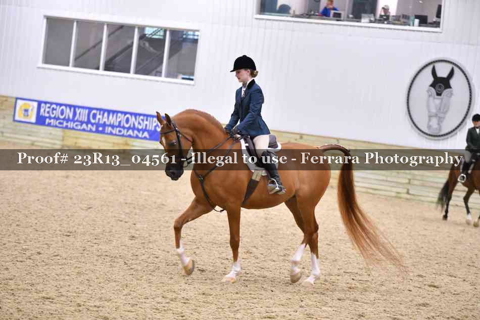 Proof Number 23R13_04561