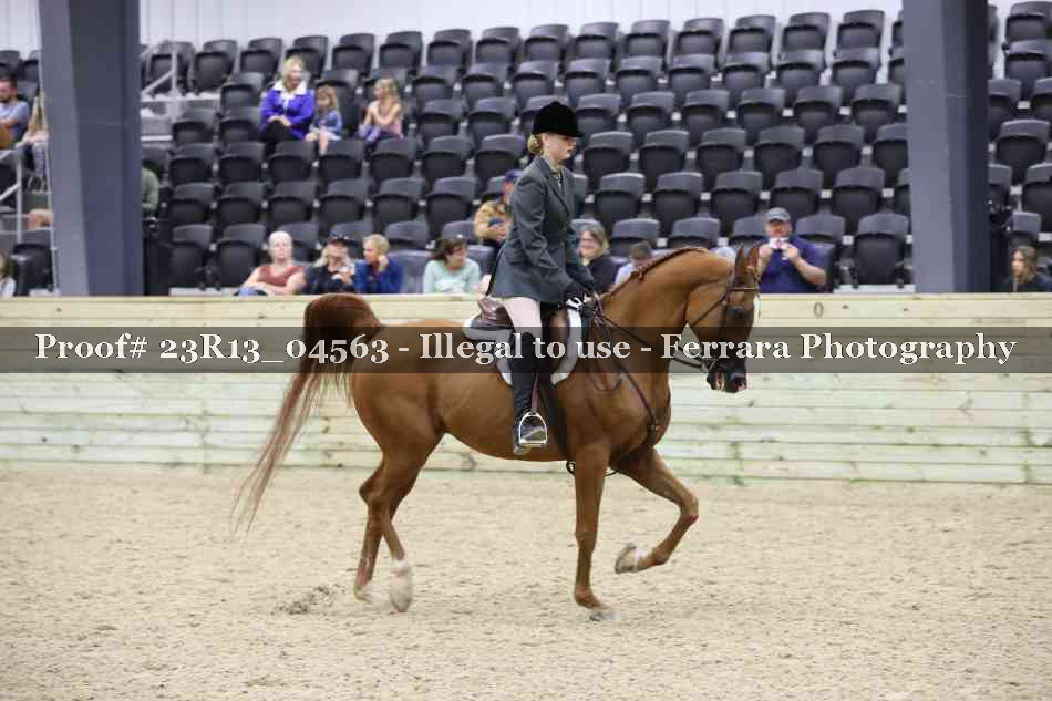Proof Number 23R13_04563