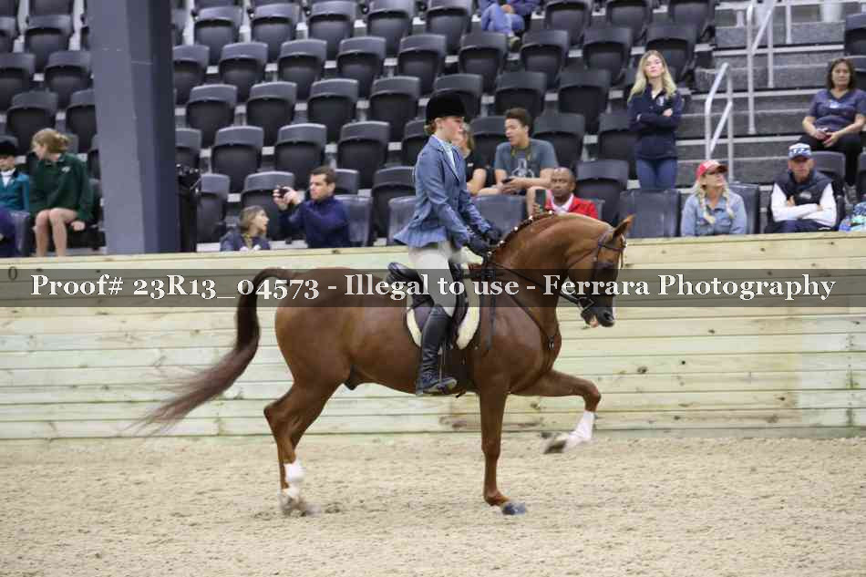 Proof Number 23R13_04573