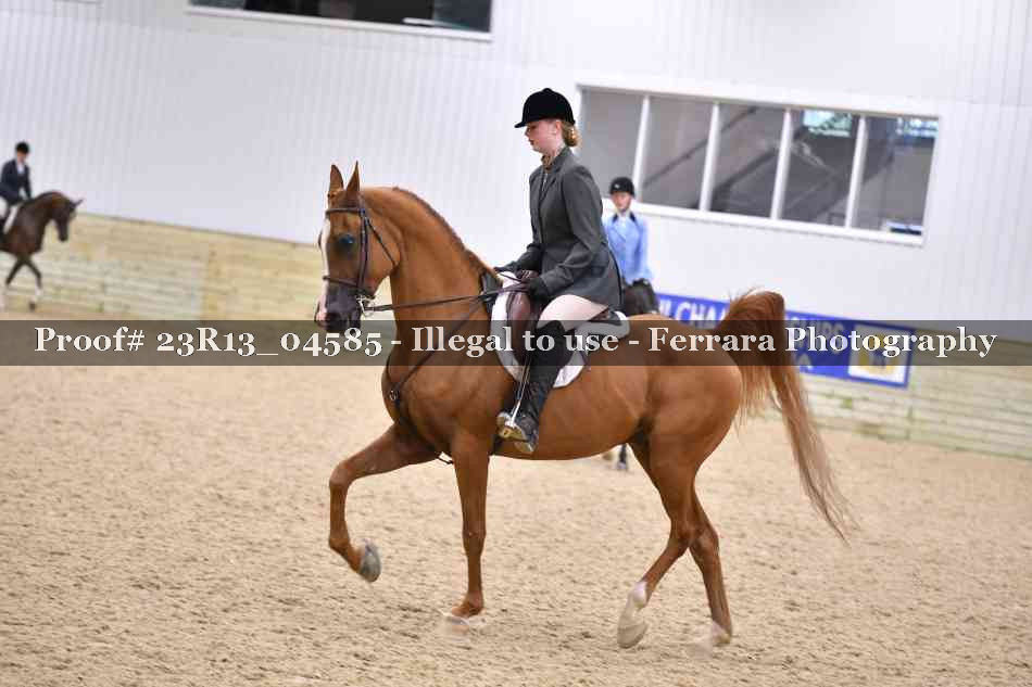 Proof Number 23R13_04585