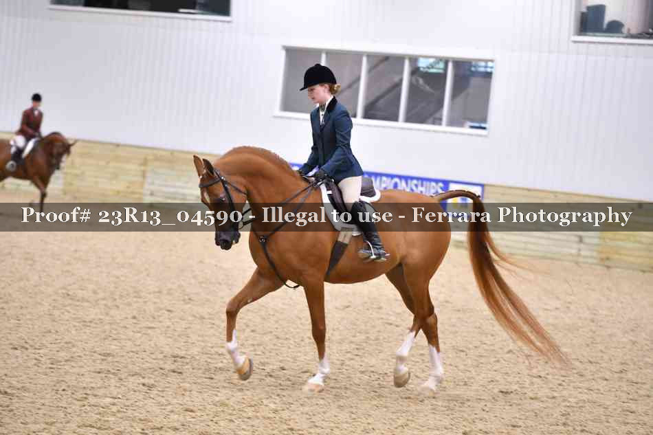 Proof Number 23R13_04590