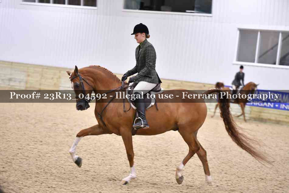 Proof Number 23R13_04592