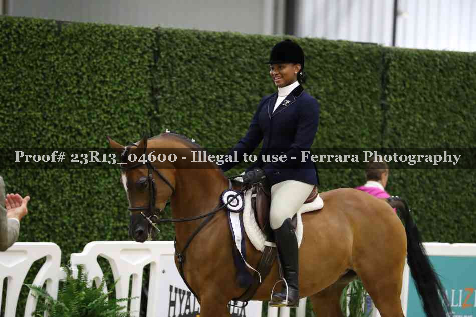 Proof Number 23R13_04600