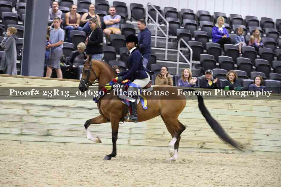 Proof Number 23R13_04630