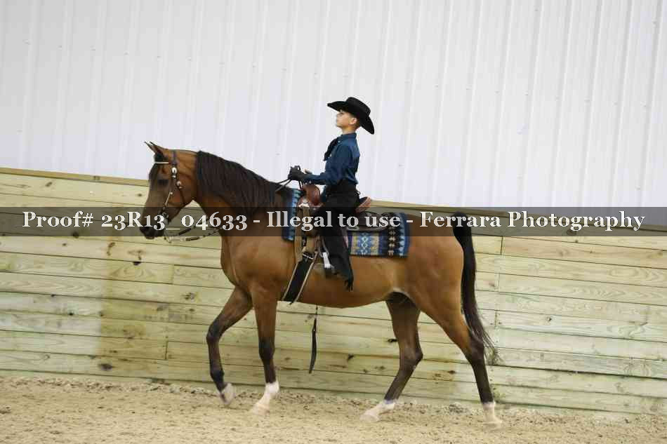 Proof Number 23R13_04633
