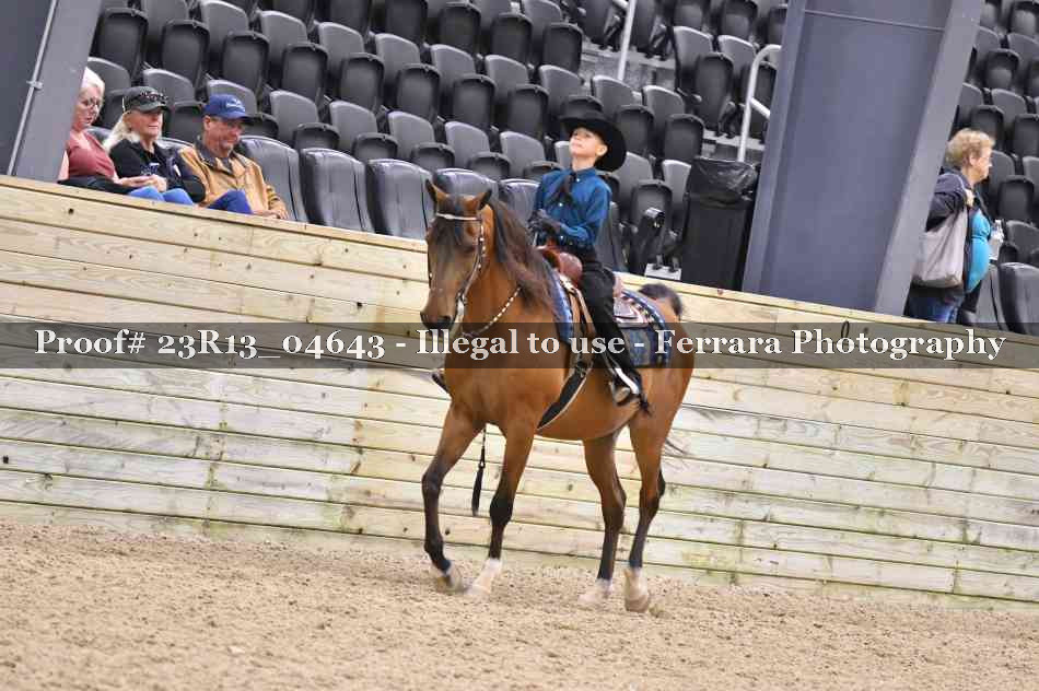 Proof Number 23R13_04643