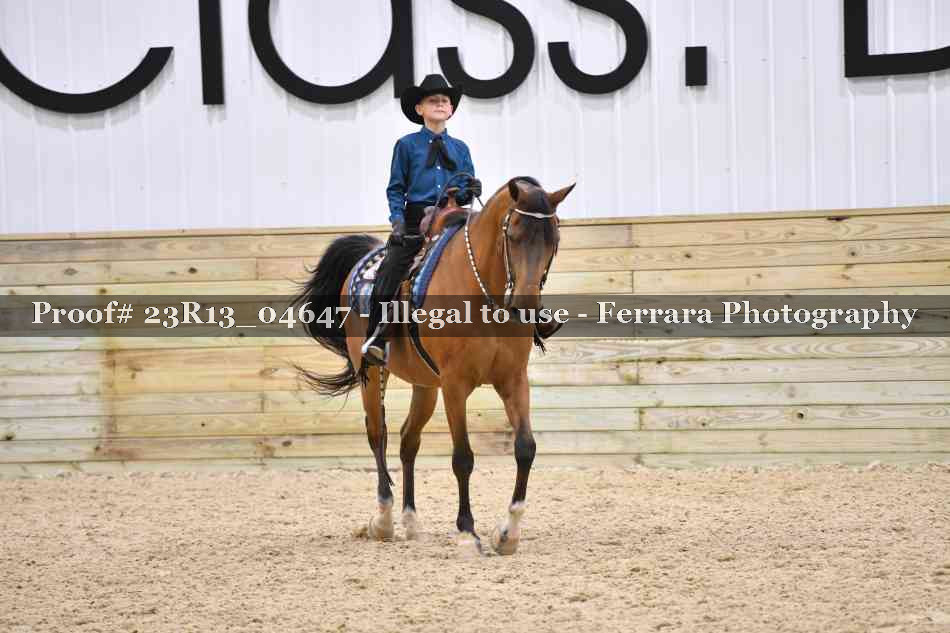 Proof Number 23R13_04647