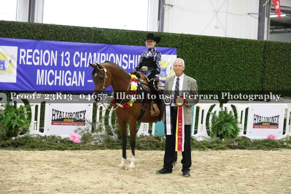 Proof Number 23R13_04657