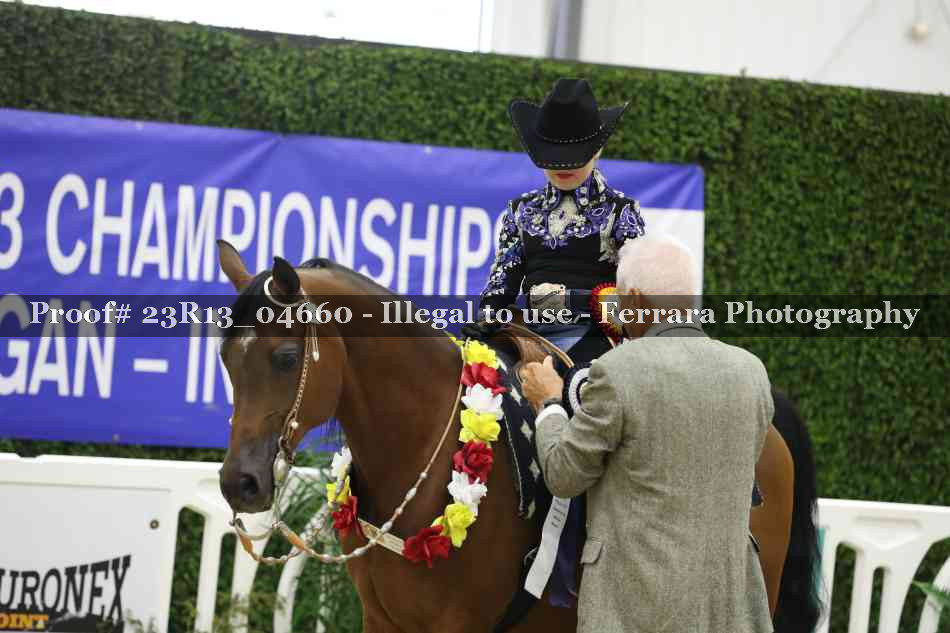 Proof Number 23R13_04660
