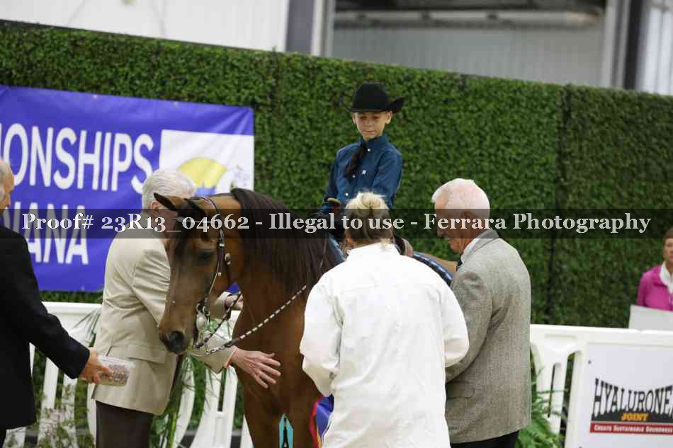 Proof Number 23R13_04662