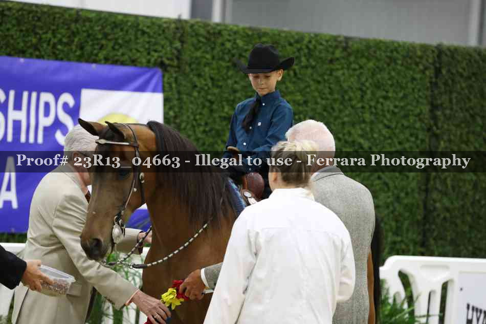 Proof Number 23R13_04663