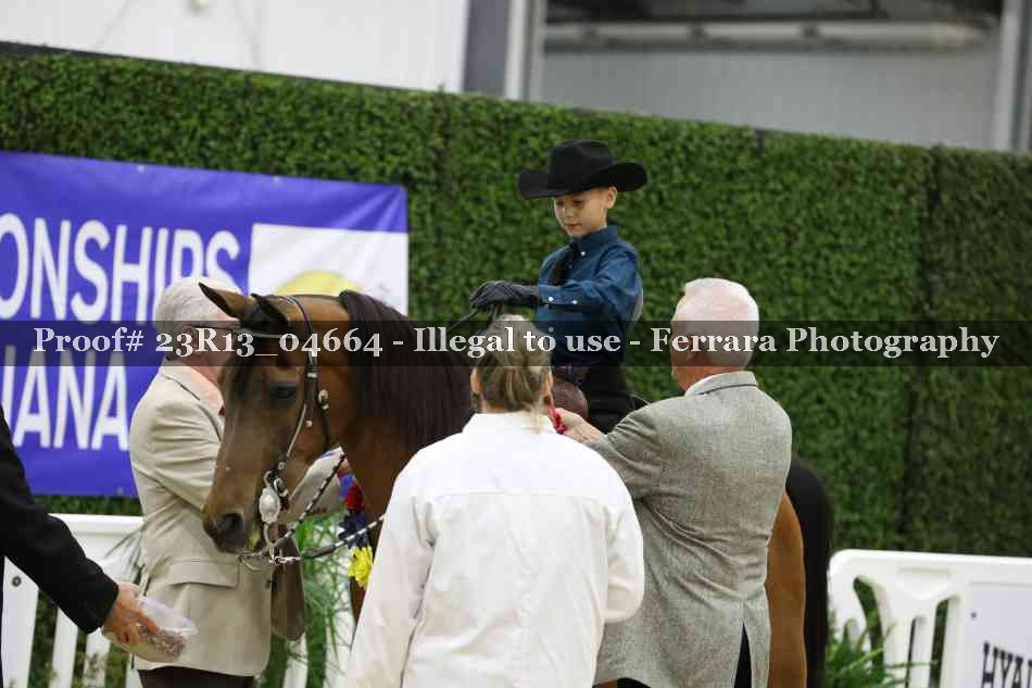 Proof Number 23R13_04664