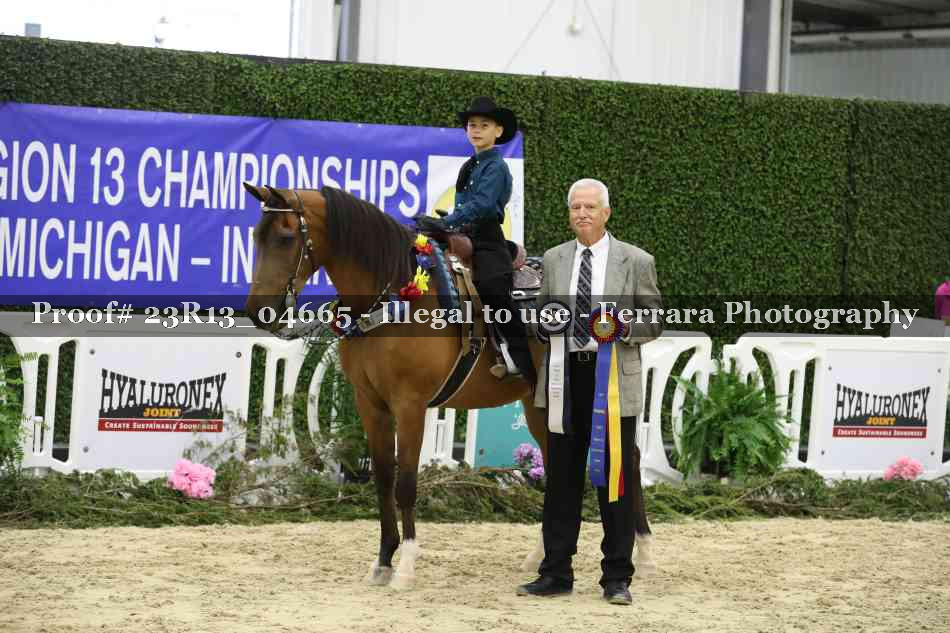 Proof Number 23R13_04665