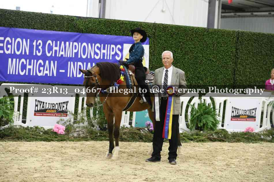 Proof Number 23R13_04667