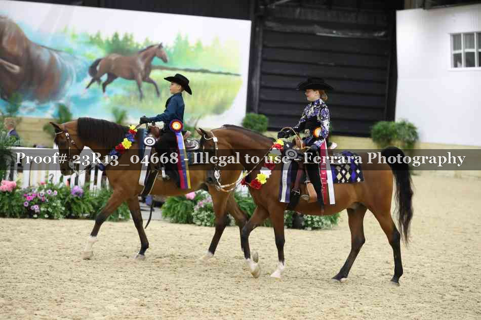 Proof Number 23R13_04668