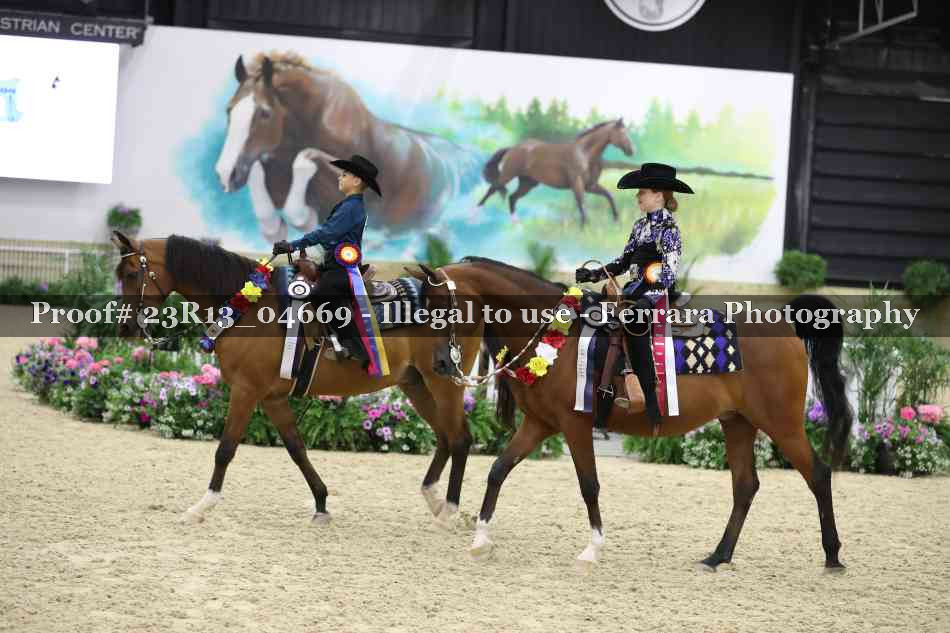 Proof Number 23R13_04669