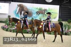 23R13_04669 thumbnail
