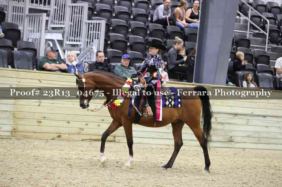 Proof Number 23R13_04675