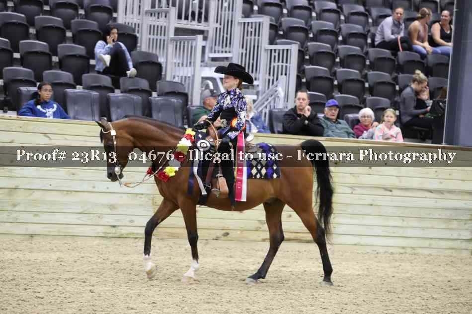 Proof Number 23R13_04676