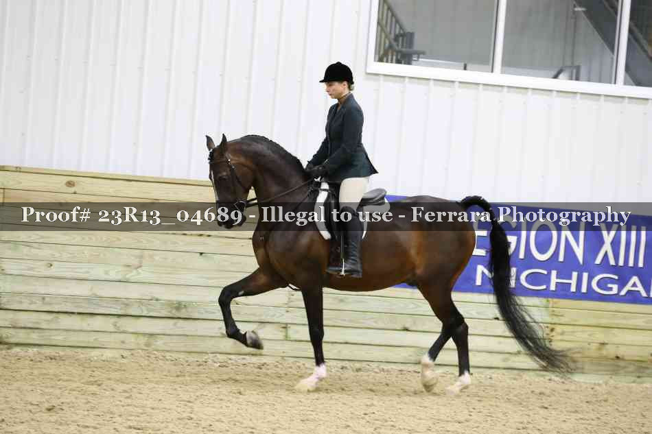 Proof Number 23R13_04689