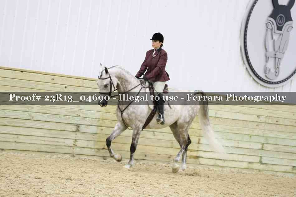 Proof Number 23R13_04690