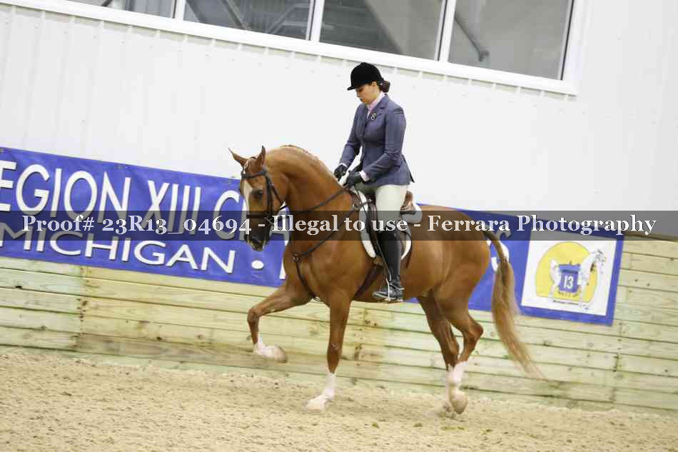 Proof Number 23R13_04694