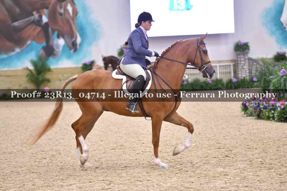 Proof Number 23R13_04714
