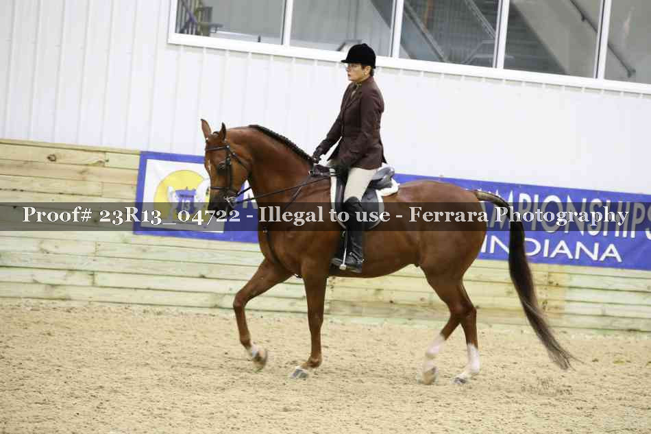 Proof Number 23R13_04722