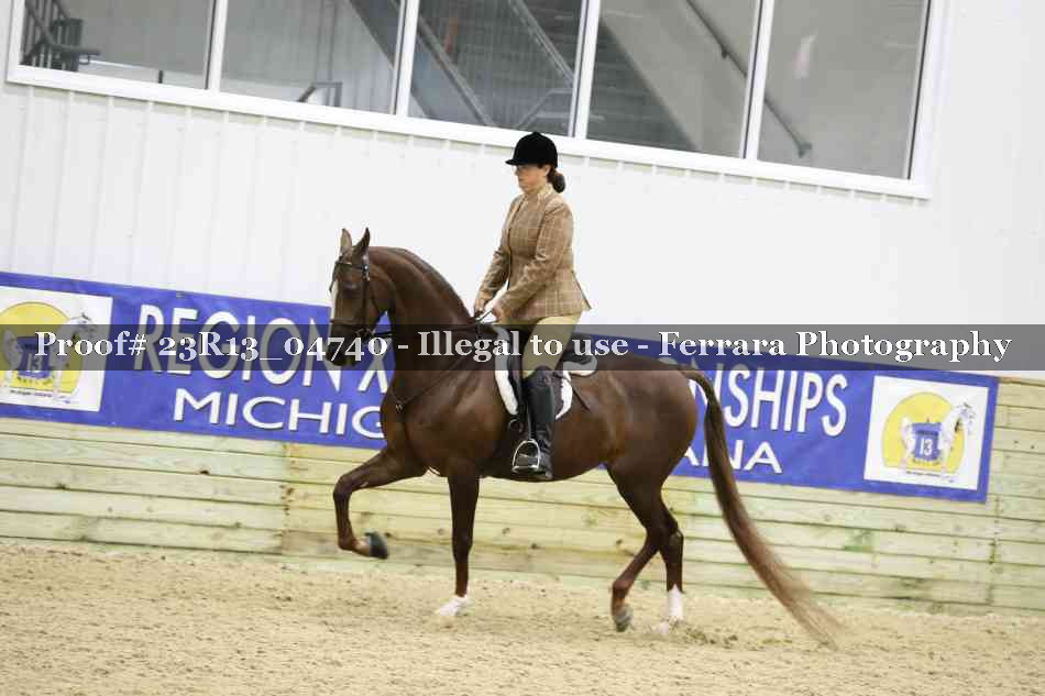 Proof Number 23R13_04740