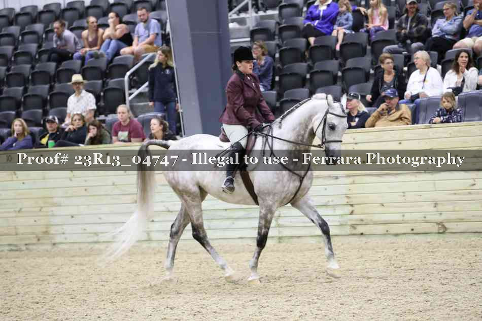 Proof Number 23R13_04747