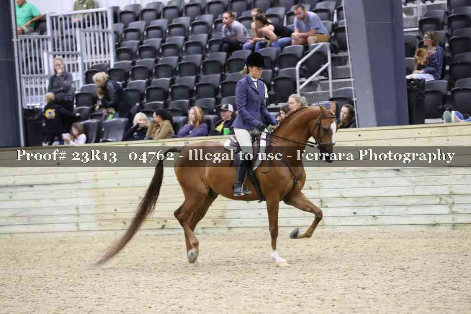 Proof Number 23R13_04762