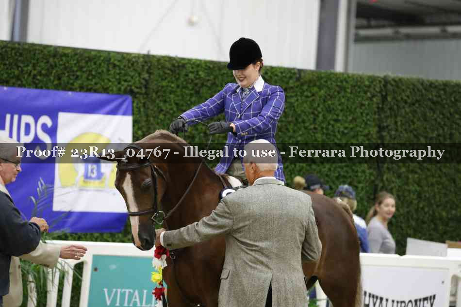 Proof Number 23R13_04767