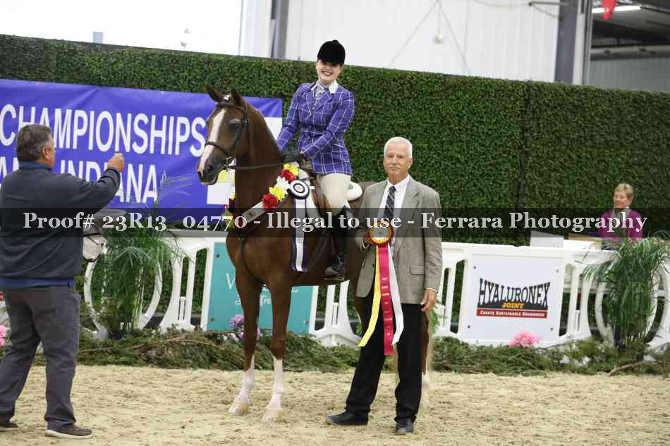 Proof Number 23R13_04770