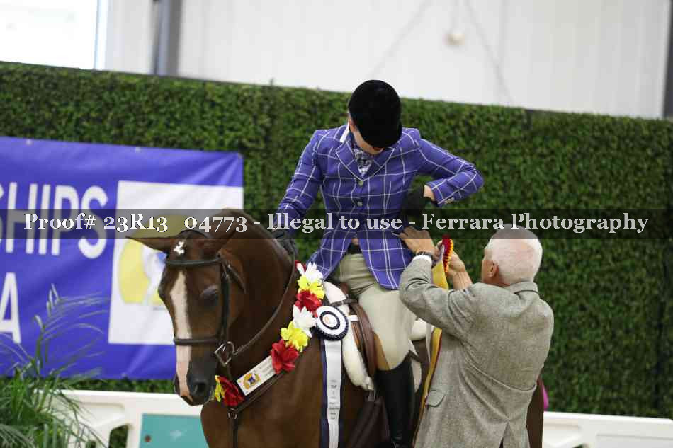 Proof Number 23R13_04773