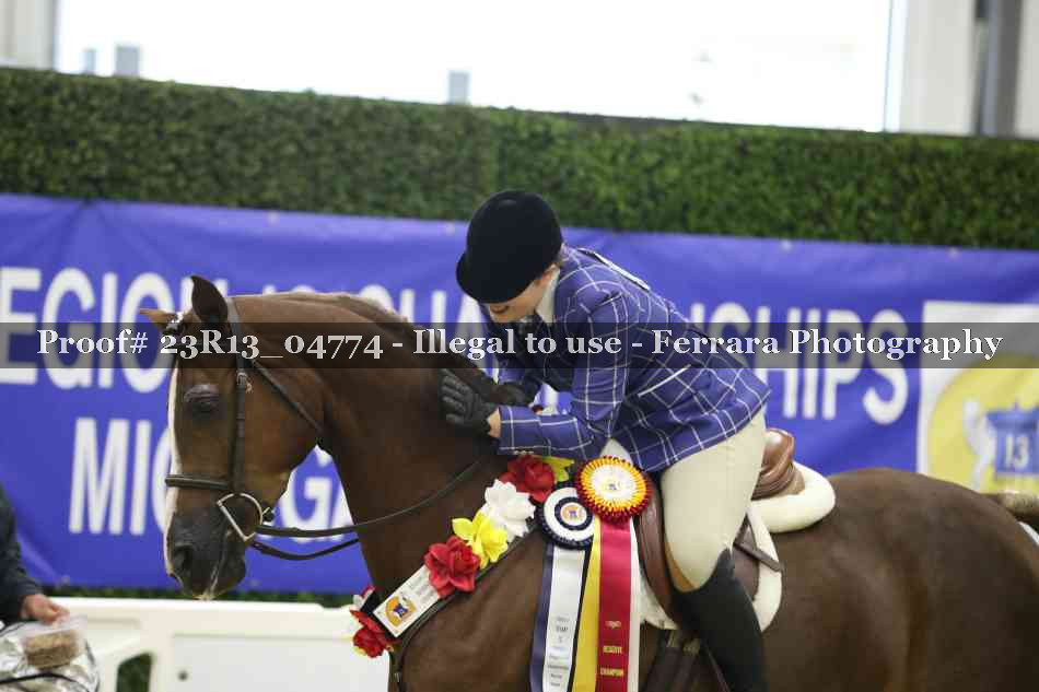 Proof Number 23R13_04774