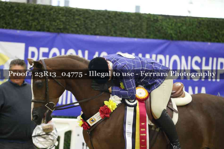 Proof Number 23R13_04775