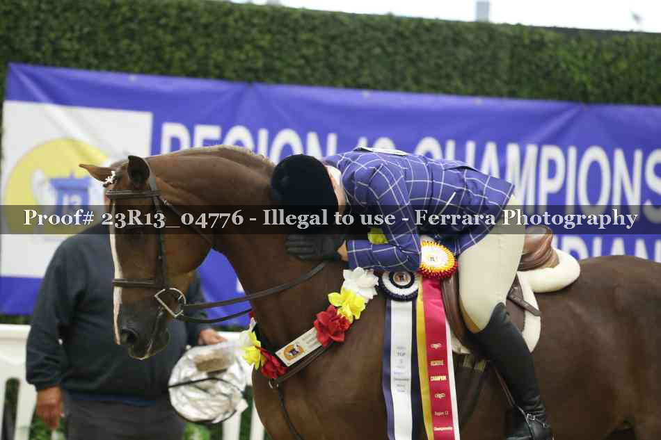 Proof Number 23R13_04776