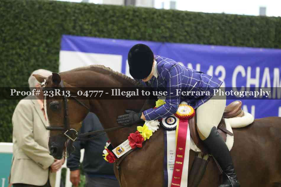 Proof Number 23R13_04777
