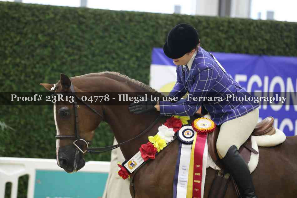 Proof Number 23R13_04778