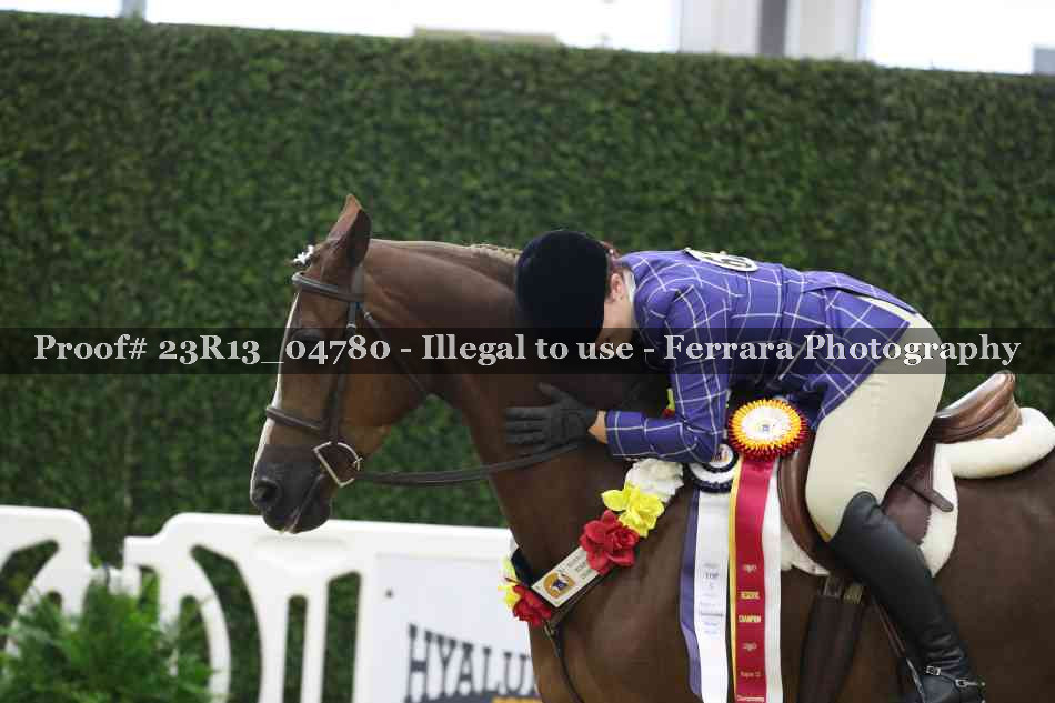 Proof Number 23R13_04780