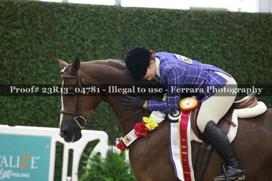 Proof Number 23R13_04781