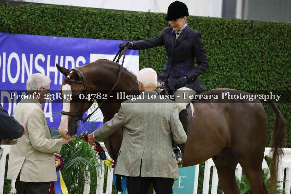 Proof Number 23R13_04782