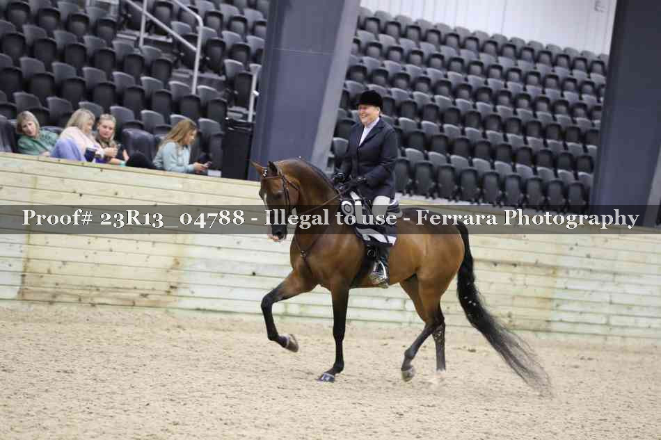Proof Number 23R13_04788