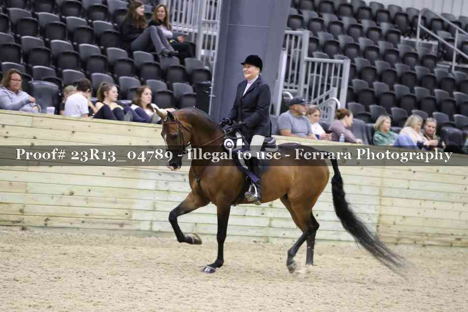 Proof Number 23R13_04789