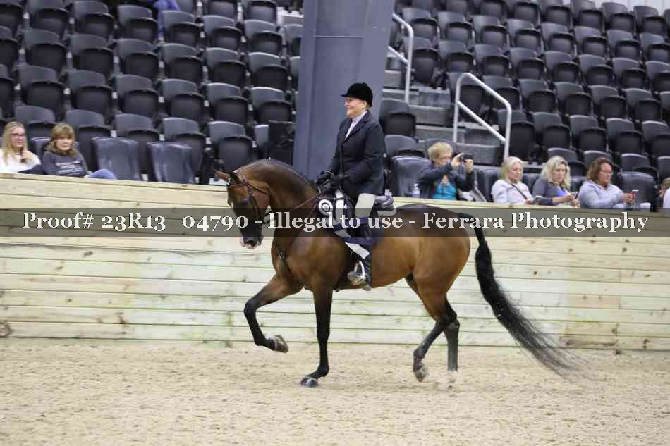 Proof Number 23R13_04790