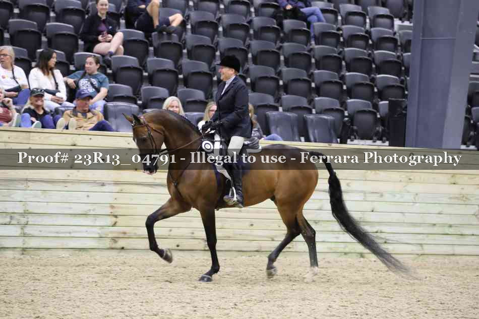 Proof Number 23R13_04791