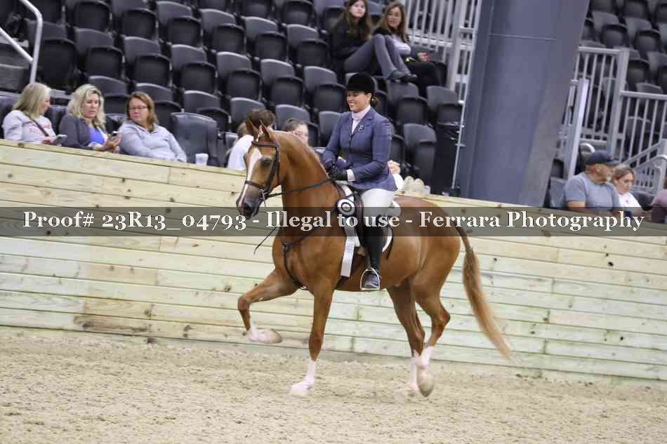 Proof Number 23R13_04793
