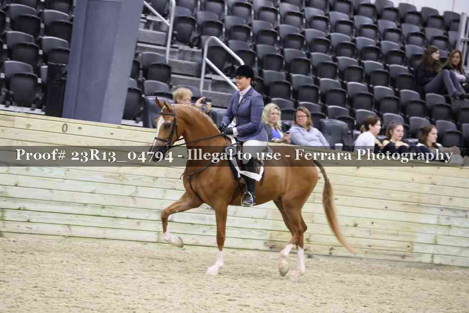 Proof Number 23R13_04794